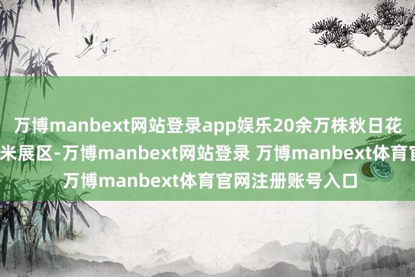 万博manbext网站登录app娱乐20余万株秋日花草铺满5000平方米展区-万博manbext网站登录 万博manbext体育官网注册账号入口