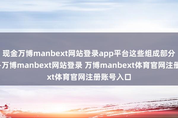 现金万博manbext网站登录app平台这些组成部分相互和洽-万博manbext网站登录 万博manbext体育官网注册账号入口